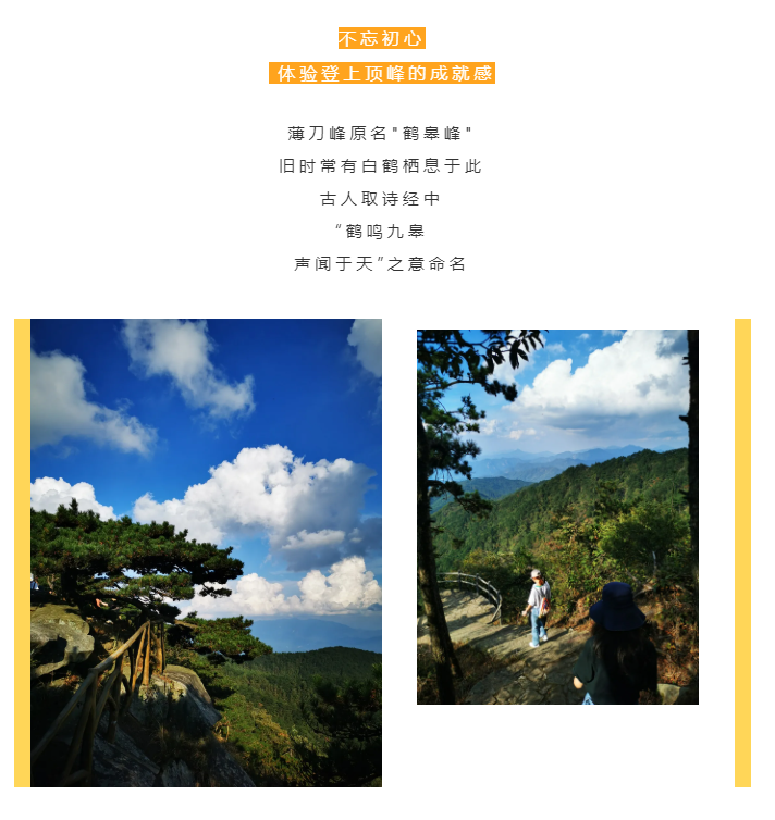 秋天了，來一場成年人的秋游吧(圖2)