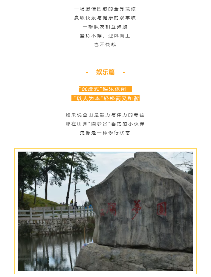 秋天了，來一場成年人的秋游吧(圖4)