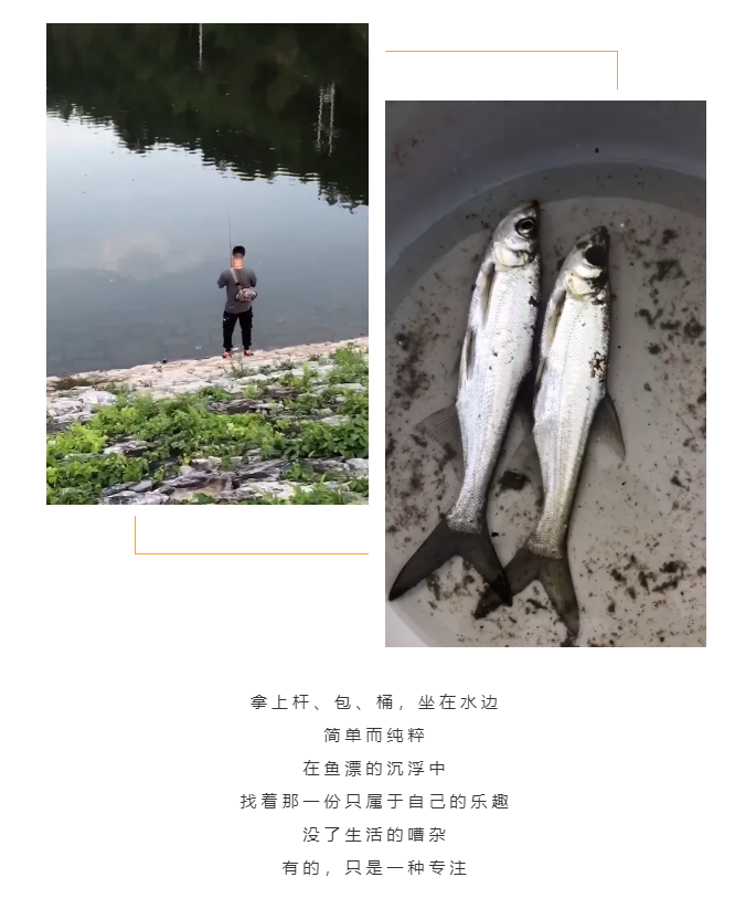 秋天了，來一場成年人的秋游吧(圖5)