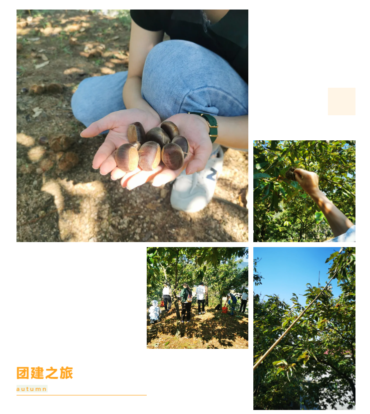秋天了，來一場成年人的秋游吧(圖6)